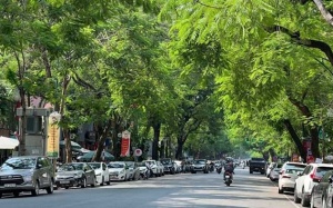 Cảnh báo mưa lớn ở Bắc Bộ và Thanh Hóa