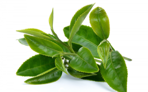 Trà xanh có tốt cho người bị vảy nến?