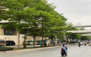 Bắc Bộ và Nam Bộ ngày nắng, chiều tối mưa dông vài nơi