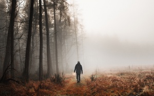 Tử vi thứ Tư (21/5/2025): Kim Ngưu có thể thấy hơi mất phương hướng