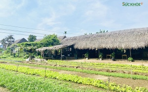 Hội An: Không chỉ là du lịch phố cổ!