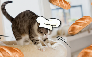 Vì sao mèo cưng lại hay “nhào bột”?