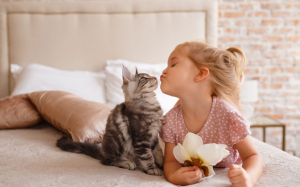 “Sen” có biết mèo cưng thích gì?