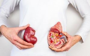 Nguyên nhân gây suy thận và lời khuyên cho bạn