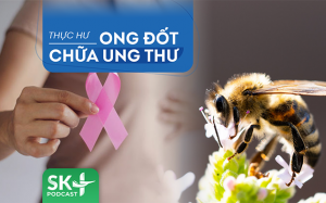 Podcast: Dùng ong đốt chữa ung thư, 'lợn lành thành lợn què'