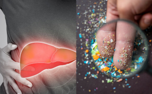 Hạt vi nhựa: “Kẻ giấu mặt” đe dọa đường huyết và lá gan 