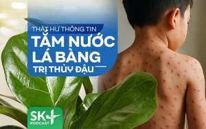 Podcast: Thật hư thông tin tắm nước lá bàng trị thủy đậu