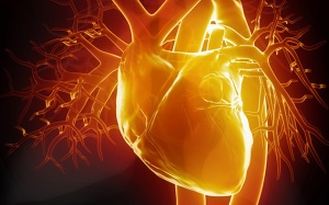 Người bị thiếu máu cơ tim có thể cần uống thuốc gì?