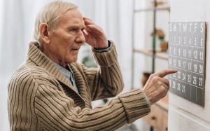 Hợp chất có trong loại thảo mộc “quen mặt” giúp ngừa bệnh Alzheimer