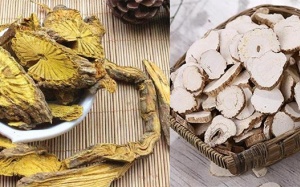 Thu hồi loạt dược liệu Bạch chỉ, Hoàng Đằng kém chất lượng 