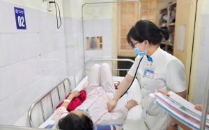 Huế khuyến cáo phòng bệnh liên cầu lợn 