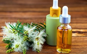 Có nên dùng tinh dầu tràm trà để trị mụn, trị nấm chân?