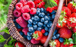 7 loại thực phẩm tốt cho người bệnh ung thư phổi 