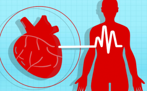 9 loại thảo mộc quen thuộc giúp hạ huyết áp hiệu quả