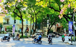 Bắc Bộ và Trung Bộ ngày nắng nóng, chiều tối có mưa to