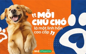 “Mỗi chú chó là một linh hồn cao cấp”