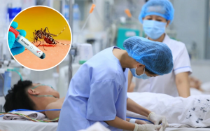 Số ca mắc sốt xuất huyết tăng cao, Thủ tướng yêu cầu xử lý triệt để ổ dịch