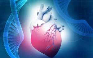 Bệnh mạch vành có di truyền trong gia đình không?