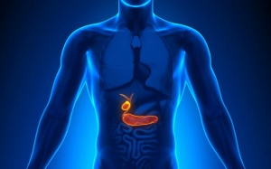 Sỏi lấp đầy túi mật, dùng TPBVSK Kim Đởm Khang được không?