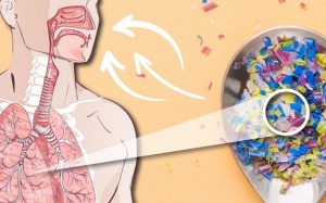 Con người hít vào phổi 70.000 hạt vi nhựa mỗi ngày