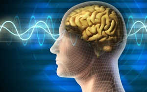 Tại sao đột quỵ gây suy giảm nhận thức?