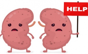 3 thói quen dẫn đến thận yếu và lời khuyên cho bạn