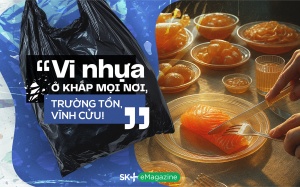 “Vi nhựa ở khắp mọi nơi, trường tồn, vĩnh cửu!”