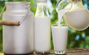 Đâu là loại sữa an toàn cho tim mạch?