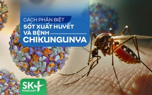 Podcast: Cách phân biệt Sốt xuất huyết và bệnh Chikungunya