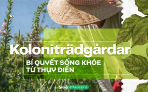 Koloniträdgårdar - Bí quyết sống khỏe từ Thụy Điển