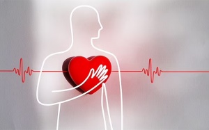 Tại sao người bệnh rung nhĩ có nguy cơ cao bị đột quỵ?