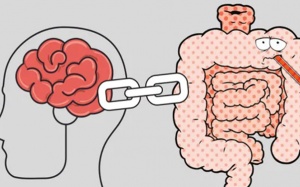 Căng thẳng có thể gây ra các vấn đề tiêu hóa?