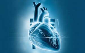 Làm gì để kiểm soát rung nhĩ, phòng ngừa cục máu đông hiệu quả?