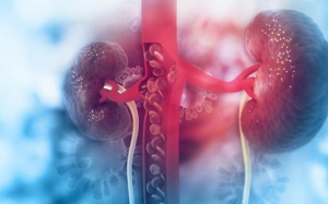 Triệu chứng suy thận nhẹ bạn không thể bỏ qua