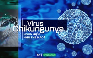 Virus chikungunya nguy hiểm như thế nào?