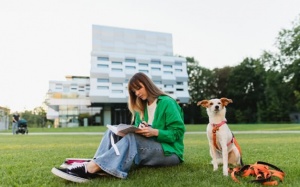 Thú cưng thành bạn cùng phòng: Xu hướng tại nhiều trường đại học Mỹ