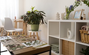 Tử vi thứ Hai (15/9/2025): Nhân Mã nên thử trang trí lại nhà cửa