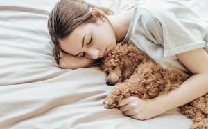 Cún cưng ngủ chung giường có phải ý hay?