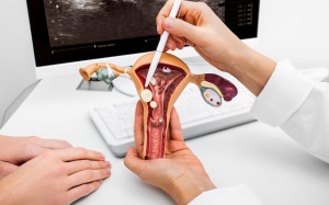 Sau mổ u xơ tử cung cần lưu ý gì?