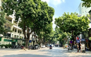 Bắc Bộ và Trung Bộ nắng ráo