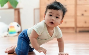 Trẻ 7 tháng tuổi chưa biết bò liệu có sao không?