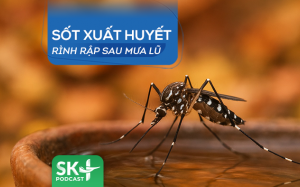 Podcast: Sốt xuất huyết rình rập sau mưa lũ