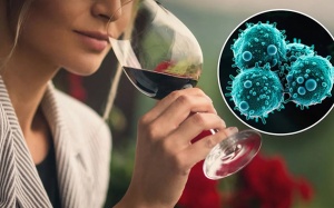 Gánh nặng ung thư do rượu bia gia tăng ở châu Âu