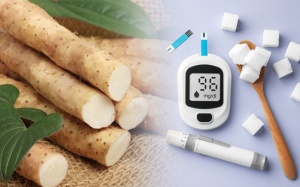 Hoài sơn có lợi ích gì với người bệnh đái tháo đường?