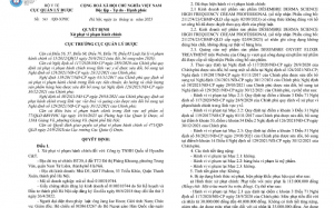 Xử phạt Công ty TNHH Quốc tế HyunJin C&T