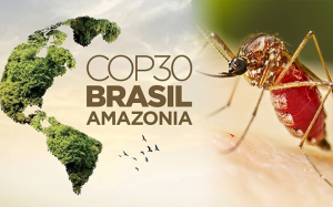 Câu chuyện sốt vàng da và biến đổi khí hậu tại COP30