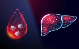 Mắc đái tháo đường, men gan cao cần xử trí thế nào?