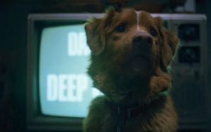 Gợi ý phim: Ra rạp xem “Chó cưng đừng sợ”