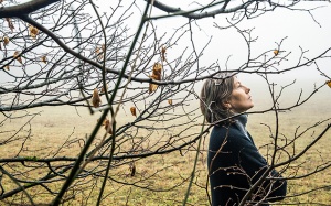 Thiên nhiên dạy con người vượt qua trầm cảm theo mùa 