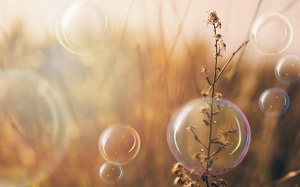 Tử vi Chủ nhật (2/11/2025): Bọ Cạp muốn lấy lại cân bằng trong cuộc sống